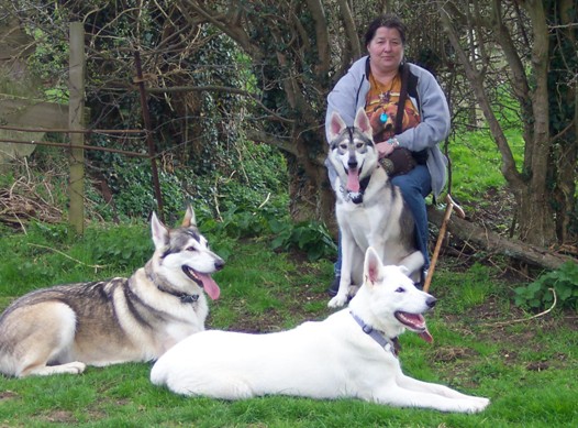 sue presley and dogs