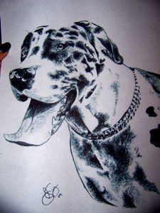 great dane