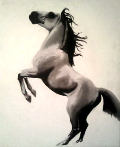 aimees horse pic