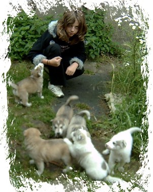aimee with a litter of pups