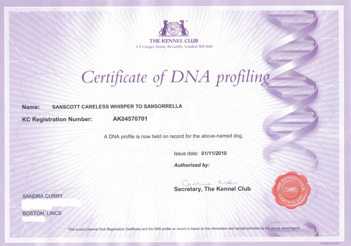 brackens dna certificate