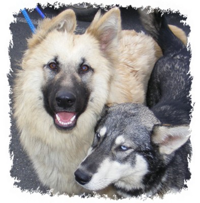 crystal and tundra