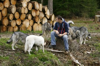 darryl and pack