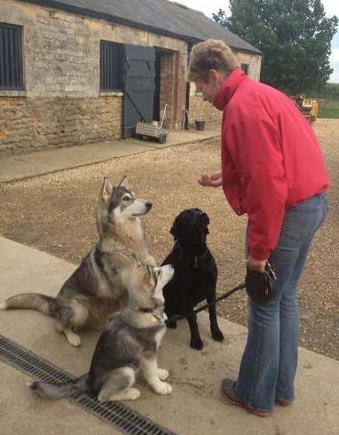 lexi max and sasha