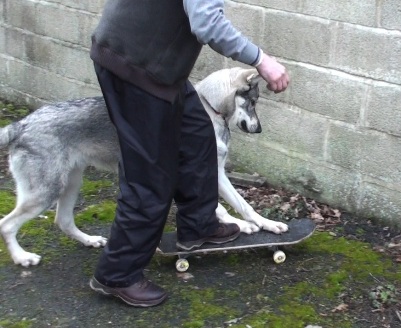 oonai skateboarding