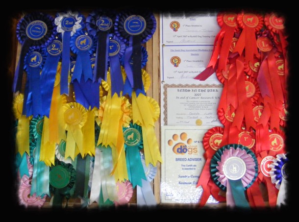 rosettes and certificates
