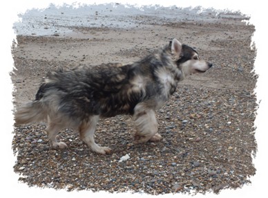 sky on skeggy beach