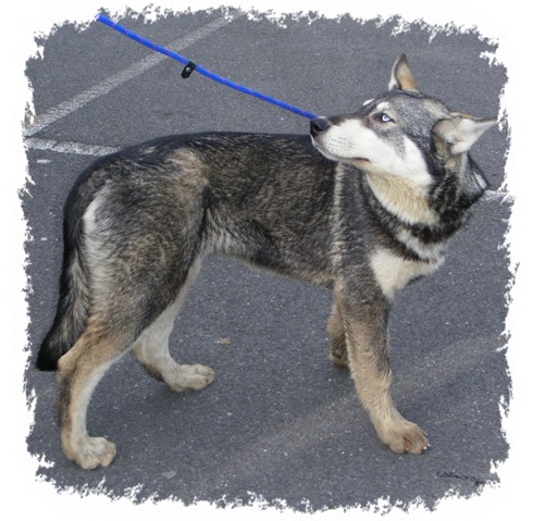 tundra 4 months