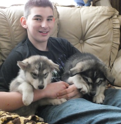 tundra pups 7wks