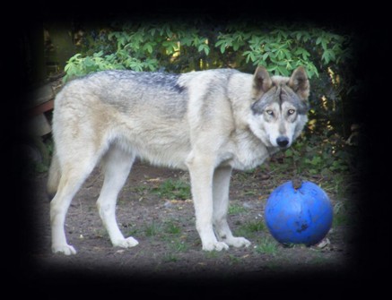 whisper and boomer ball