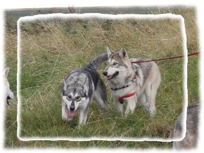 whisper walk