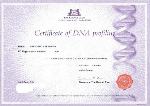 wicca dna profile certificate