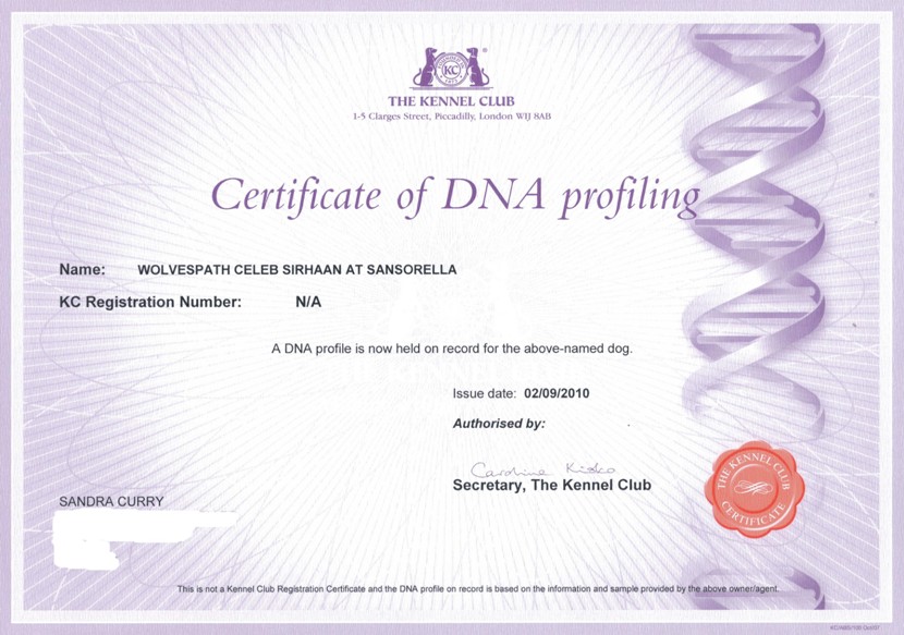 zephyr dna certificate